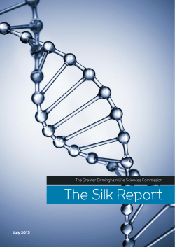 The Silk Report