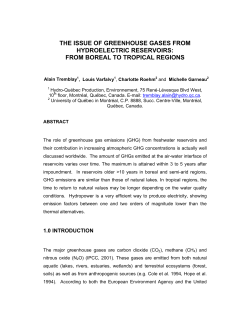 THE ISSUE OF GREENHOUSE GASES FROM HYDROELECTRIC