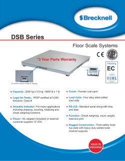 DSB Series Floor Scale Systems - Avery Weigh