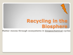 Recycling in the Biosphere