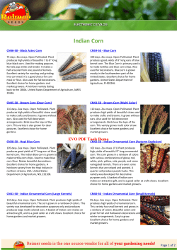 Catalog