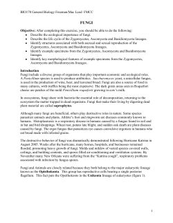 Fungi - FM Faculty Web Pages