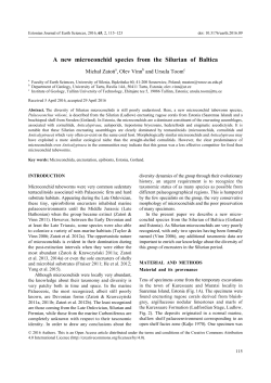 A new microconchid species from the Silurian of Baltica