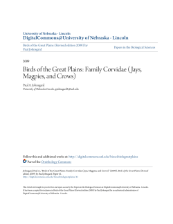 Birds of the Great Plains: Family Corvidae (Jays, Magpies, and Crows)