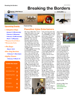 January 2012 Newsletter - Border Collie Rescue of Minnesota