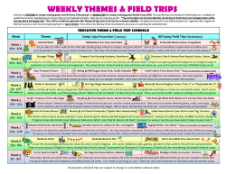Summer Camp Themes and Trips