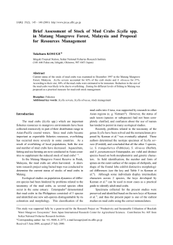 Brief Assessment of Stock of Mud Crabs Scylla spp. in Matang