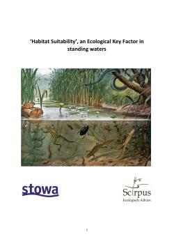 an Ecological Key Factor in standing waters