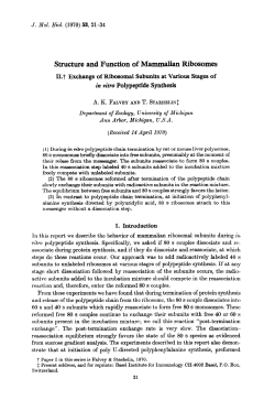 Structure and Function of Mammalian Ribosomes
