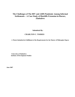 The Challenges of The HIV and AIDS Pandemic Among Informal