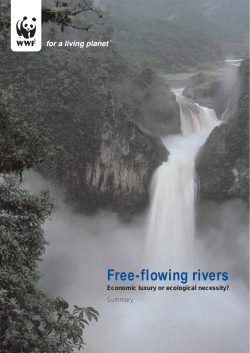 Free-flowing rivers