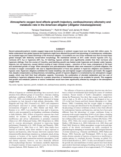 Atmospheric oxygen level affects growth trajectory, cardiopulmonary