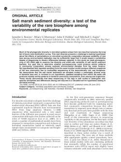 Salt marsh sediment diversity: a test of the variability of the rare