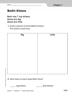 Beth`s Kittens