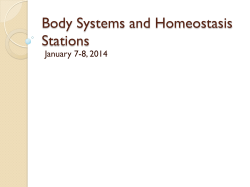 Body Systems and Homeostasis Stations