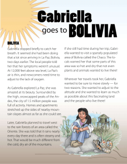 bolivia - AG Web Services