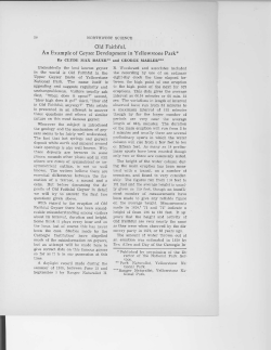 Old Faithful, An Example of Geyser Development in Yellowstone Park*