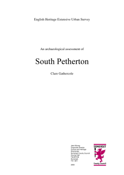 South_Petherton report