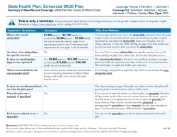 State Health Plan: Enhanced 80/20 Plan