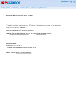 Hovering and intermittent flight in birds