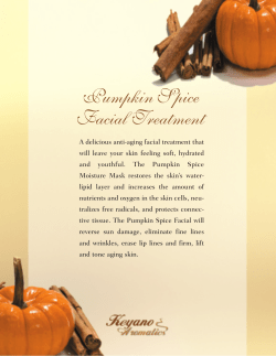 Pumpkin Spice Facial Treatment