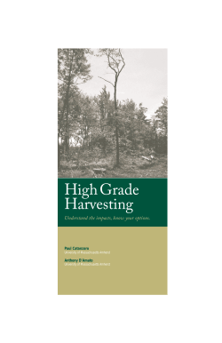 High Grade Harvesting