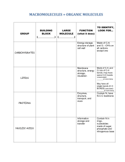 MACROMOLECULES = ORGANIC MOLECULES