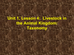 Unit 1, Lesson 4: Livestock in the Animal Kingdom: Taxonomy