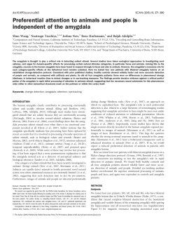 Preferential attention to animals and people is independent of the