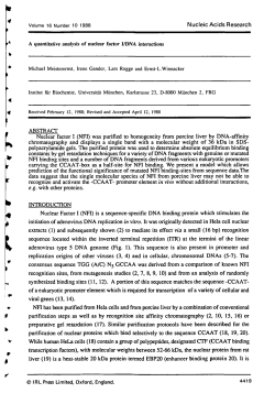 A quantitative analysis of nuclear factor I/DNA interactions