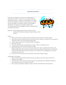 Family Raft Competition Have you ever floated on a pool toy or