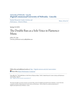 The Double Bass as a Solo Voice in Flamenco Music