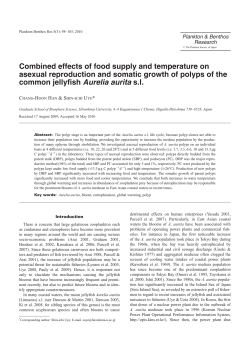 Combined effects of food supply and temperature on asexual