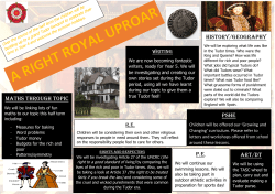 Topic Web Summer 2- Tudors Y4
