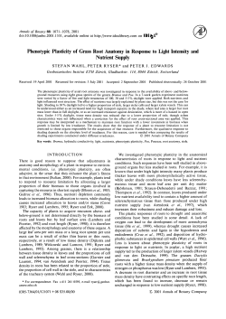 Phenotypic Plasticity of Grass Root Anatomy in
