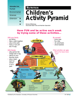 Children`s Activity Pyramid