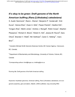 It`s okay to be green: Draft genome of the North American