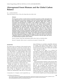 Aboveground Forest Biomass and the Global Carbon Balance