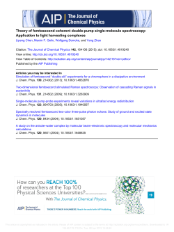 Theory of femtosecond coherent double-pump single