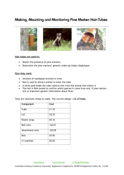 Making, Mounting and Monitoring Pine Marten Hair
