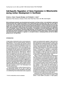 Cell-Specific Regulation of Gene Expression in Mitochondria during