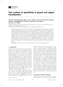 The control of speci&reg;city in guard cell signal transduction