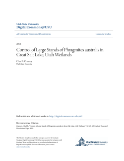 Control of Large Stands of Phragmites australis in Great Salt Lake