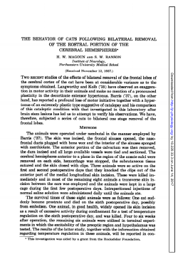 THE BEHAVIOR OF CATS FOLLOWING BILATERAL REMOVAL OF