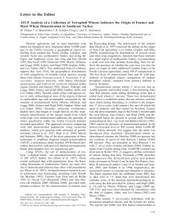 AFLP Analysis of a Collection of Tetraploid Wheats Indicates the