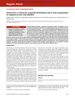 Myosin IIA is critical for organelle distribution and F