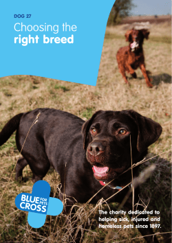 Choosing the right breed