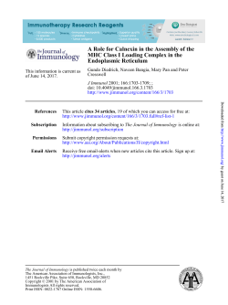 Endoplasmic Reticulum MHC Class I Loading Complex in the A