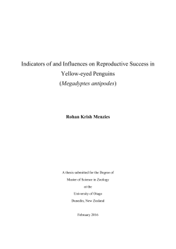 Megadyptes antipodes - Otago University Research Archive