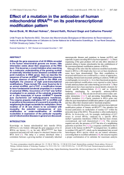 Effect of a mutation in the anticodon of human